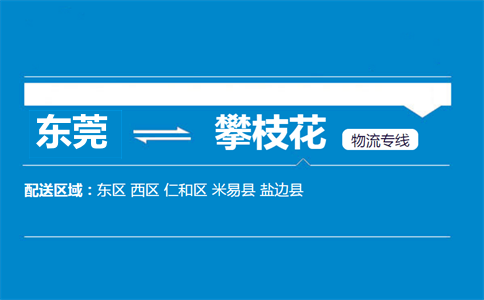 東莞到攀枝花物流專(zhuān)線